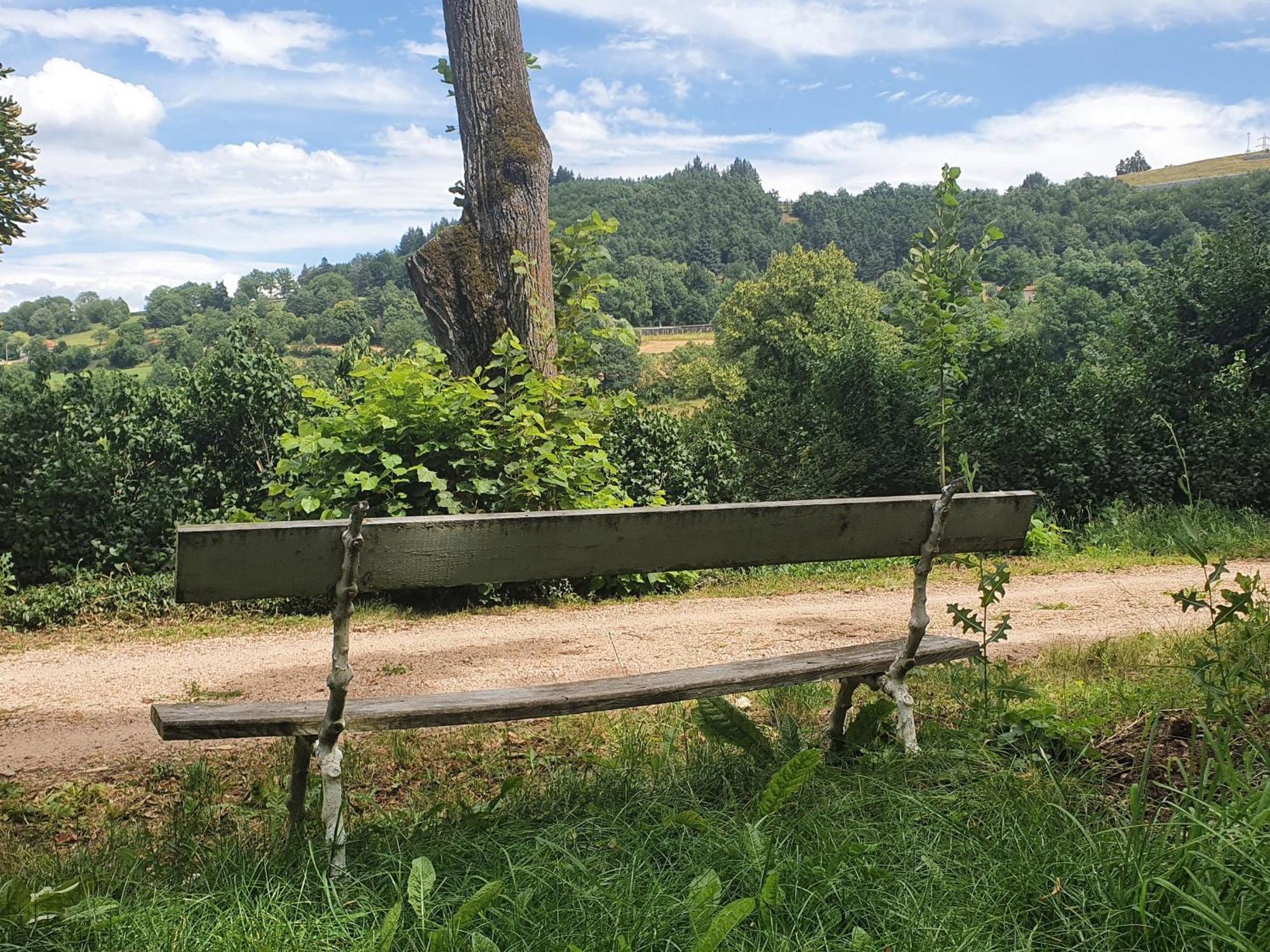 Gite Charmant Avec Terrasse Et Wifi Au Puy-En-Velay - Fr-1-582-331 Le Puy-en-Velay Exterior photo